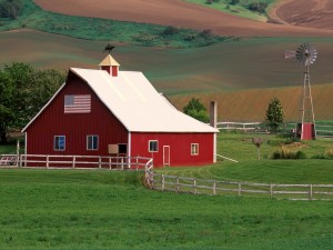 Farm environment